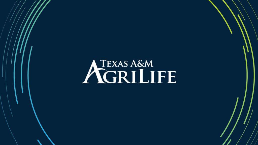 Texas A&M Logo